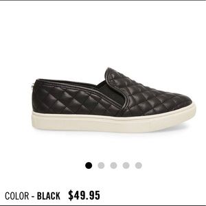 Steve Madden ECENTRCQ BLACK slip on sneakers